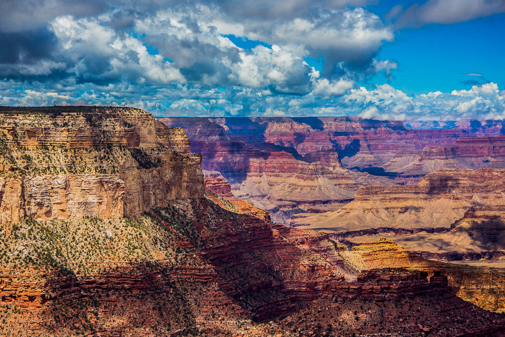 The Grand Canyon